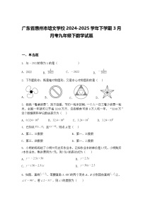 广东省惠州市培文学校2024-2025学年下学期3月月考九年级下数学试题（含答案解析）