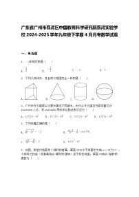 广东省广州市荔湾区中国教育科学研究院荔湾实验学校2024-2025学年九年级下学期4月月考数学试题（含答案解析）