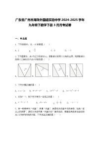 广东省广州市海珠外国语实验中学2024-2025学年九年级下数学下册3月月考试卷（含答案解析）