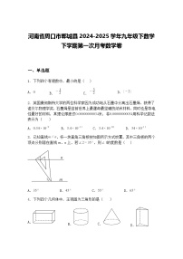 河南省周口市郸城县2024-2025学年九年级下数学下学期第一次月考数学卷（含答案解析）