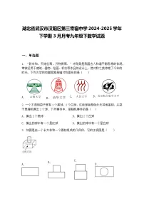 湖北省武汉市汉阳区第三寄宿中学2024-2025学年下学期3月月考九年级下数学试题（含答案解析）