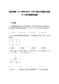 北京市第一七一中学2024--2025学年下学期九年级下3月月考数学试卷（含答案解析）