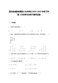 四川省成都市第四十九中学校2024-2025学年下学期3月月考九年级下数学试题（含答案解析）