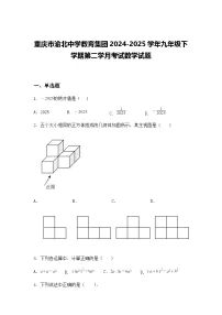 重庆市渝北中学教育集团2024-2025学年九年级下学期第二学月考试数学试题（含答案解析）