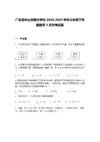广东省中山市部分学校2024-2025学年九年级下学期数学3月月考试题（含答案解析）