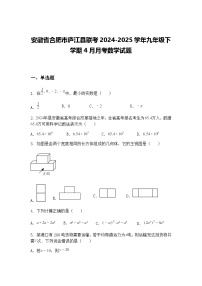 安徽省合肥市庐江县联考2024-2025学年九年级下学期4月月考数学试题（含答案解析）