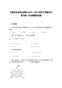 甘肃省平凉市庄浪县2024—2025学年下学期九年级下第一次月考数学试卷（含答案解析）