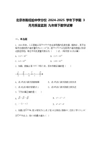 北京市陈经纶中学分校 2024-2025 学年下学期 3 月月质量监测 九年级下数学试卷（含答案解析）