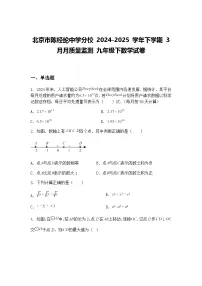 北京市陈经纶中学分校 2024-2025 学年下学期 3 月月质量监测 九年级下数学试卷（含答案解析）