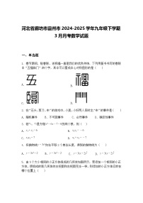 河北省廊坊市霸州市2024-2025学年九年级下学期3月月考数学试题（含答案解析）