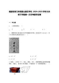 福建省厦门市观音山音乐学校 2024-2025学年九年级下学期第一次月考数学试卷（含答案解析）