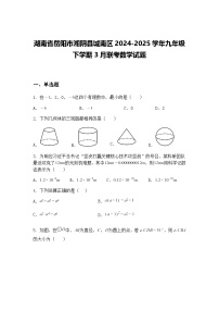 湖南省岳阳市湘阴县城南区2024-2025学年九年级下学期3月联考数学试题（含答案解析）