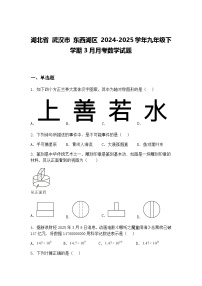 湖北省 武汉市 东西湖区 2024-2025学年九年级下学期3月月考数学试题（含答案解析）