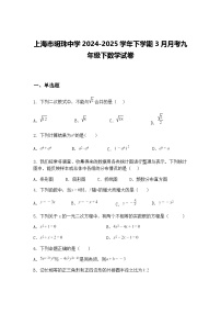 上海市明珠中学2024-2025学年下学期3月月考九年级下数学试卷(含答案解析)