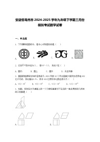 安徽省亳州市2024-2025学年九年级下学期三月份模拟考试数学试卷（含答案解析）