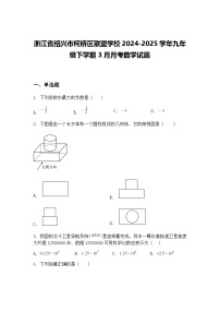浙江省绍兴市柯桥区联盟学校2024-2025学年九年级下学期3月月考数学试题（含答案解析）