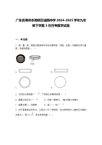 广东省潮州市湘桥区城西中学2024-2025学年九年级下学期3月月考数学试题（含答案解析）