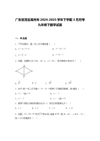 广东省茂名高州市2024-2025学年下学期3月月考九年级下数学试题（含答案解析）