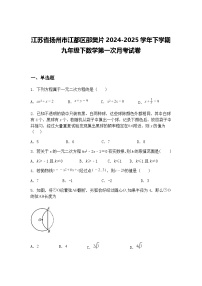 江苏省扬州市江都区邵樊片2024-2025学年下学期九年级下数学第一次月考试卷（含答案解析）