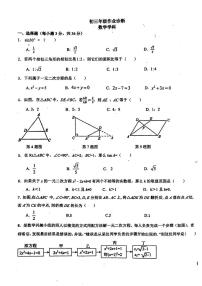 河北省石家庄市第十七中学2025-2026学年上学期九年级数学10月月考试卷