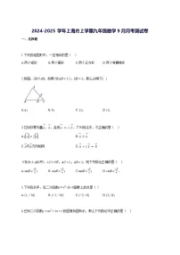 2024—2025学年度上海市上册九年级数学9月月考测试题 [参考答案]