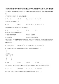 2025-2026学年广东省广州市第五中学九年级数学上册10月月考试卷-自定义类型