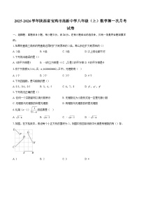 2025-2026学年陕西省宝鸡市高新中学八年级（上）数学第一次月考试卷-自定义类型