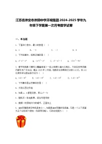 江苏省淮安市淮阴中学开明集团2024-2025学年九年级下学期第一次月考数学试卷（含答案解析）