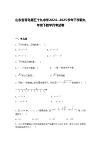 山东省青岛第五十九中学2024--2025学年下学期九年级下数学月考试卷（含答案解析）