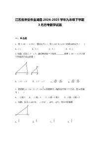 江苏省淮安市金湖县2024-2025学年九年级下学期3月月考数学试题（含答案解析）