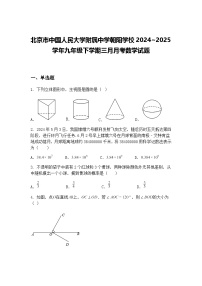 北京市中国人民大学附属中学朝阳学校2024~2025学年九年级下学期三月月考数学试题（含答案解析）