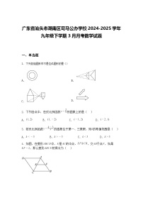 广东省汕头市潮南区司马公办学校2024-2025学年九年级下学期3月月考数学试题（含答案解析）