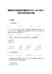 福建省厦门市集美区外国语中学2024--2025学年3月份九年级下数学月考卷（含答案解析）