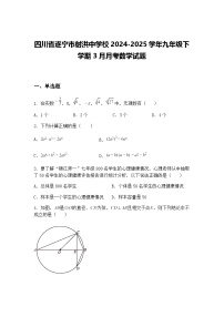 四川省遂宁市射洪中学校2024-2025学年九年级下学期3月月考数学试题（含答案解析）