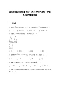 湖南省邵阳市邵东市2024-2025学年九年级下学期3月月考数学试题（含答案解析）