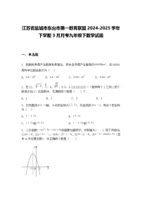江苏省盐城市东台市第一教育联盟2024-2025学年下学期3月月考九年级下数学试题（含答案解析）