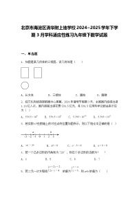 北京市海淀区清华附上地学校2024~2025学年下学期3月学科适应性练习九年级下数学试题（含答案解析）
