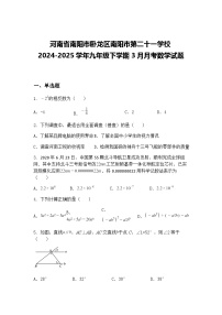 河南省南阳市卧龙区南阳市第二十一学校2024-2025学年九年级下学期3月月考数学试题（含答案解析）