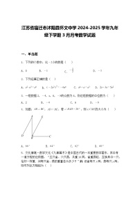 江苏省宿迁市沭阳县怀文中学2024-2025学年九年级下学期3月月考数学试题（含答案解析）