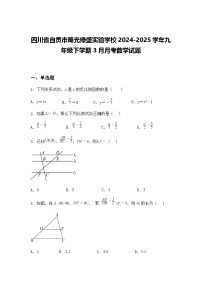 四川省自贡市蜀光绿盛实验学校2024-2025学年九年级下学期3月月考数学试题（含答案解析）