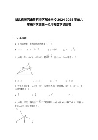 湖北省黄石市黄石港区部分学校2024-2025学年九年级下学期第一次月考数学试题卷（含答案解析）