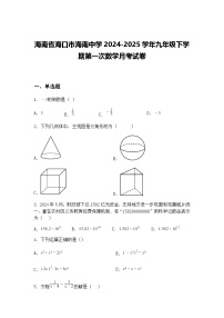 海南省海口市海南中学2024-2025学年九年级下学期第一次数学月考试卷（含答案解析）