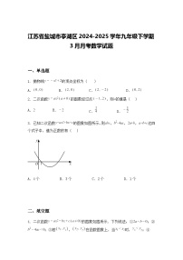 江苏省盐城市亭湖区2024-2025学年九年级下学期3月月考数学试题（含答案解析）