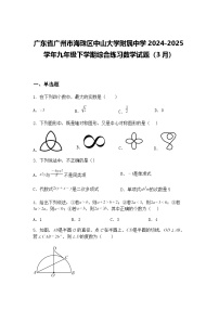 广东省广州市海珠区中山大学附属中学2024-2025学年九年级下学期综合练习数学试题（3月）（含答案解析）