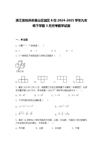 浙江省杭州市萧山区城区8校2024-2025学年九年级下学期3月月考数学试题（含答案解析）