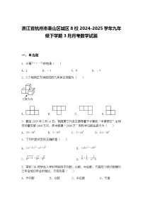 浙江省杭州市萧山区城区8校2024-2025学年九年级下学期3月月考数学试题（含答案解析）