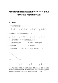 湖南省岳阳市湘阴县洞庭区联考2024-2025学年九年级下学期2月月考数学试题（含答案解析）
