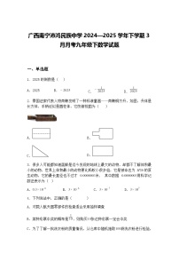 广西南宁沛鸿民族中学2024—2025学年下学期3月月考九年级下数学试题（含答案解析）