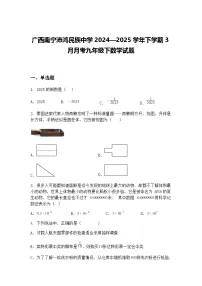 广西南宁沛鸿民族中学2024—2025学年下学期3月月考九年级下数学试题（含答案解析）