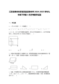 江苏省泰州市姜堰实验初级中学2024-2025学年九年级下学期3月月考数学试题（含答案解析）